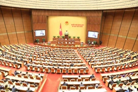 Vietnam meticulously preparing for 15th National Assembly elections