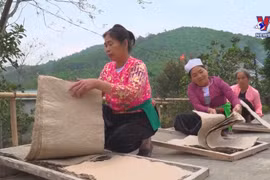 Muong ethnic minority keeping traditional paper making craft alive