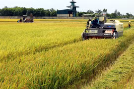 Maximising farm produce value through supply chains