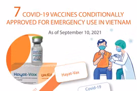 Seven COVID-19 vaccines conditionally approved for emergency use in Vietnam