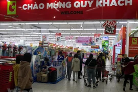 Vietnamese retail market – still a good pie for foreign giants