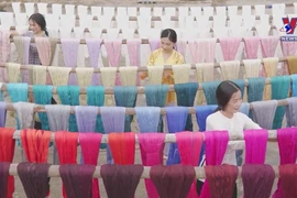 Dong Thap scarf weaving - a national intangible cultural heritage item