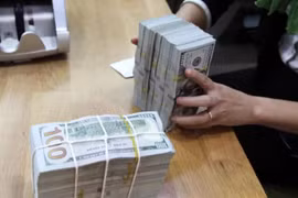 Exchange rate to ease in 2024