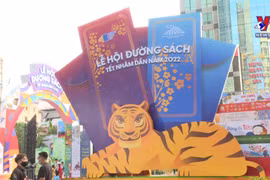 Book Street attracts readers during Tet