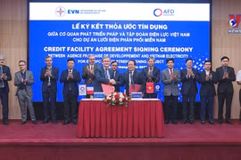 AFD provides non-Government guaranteed loan of 80 million EUR for EVN