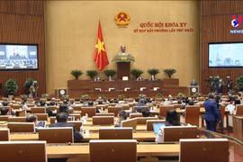 NA extraordinary session successfully wraps up