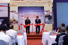 Vietnam-Laos solidarity spotlighted at exhibition