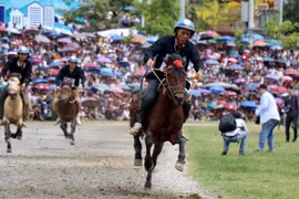 Reviving horse racing tradition in Lao Cai’s Bac Ha
