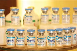Eureka moment for African swine fever vaccine in Vietnam