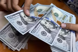 Keeping monetary stability amid FED interest rate hikes