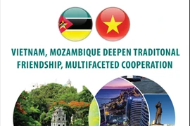 Vietnam, Mozambique deepen traditional friendship, multifacted cooperation