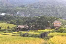 Pu Luong – a paradise for trekkers, budget travellers