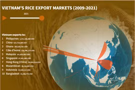 (interactive) Vietnam's rice export markets (2009-2021)