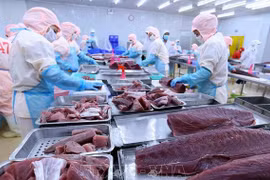 Tuna exports predicted to surge amid high inflation