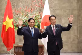Japan boosts all-round cooperation to help Vietnam realise zero-carbon society: Ambassador