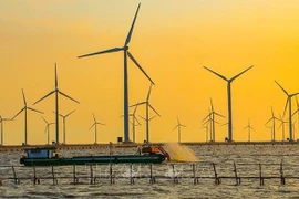Ministry reviews draft National Power Development Plan VIII
