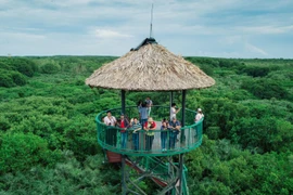 HCM City highlights local cultures to ignite urban tourism