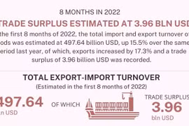 Trade surplus estimated at 3.96 bln USD