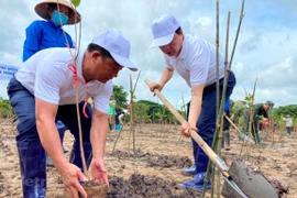 Transition from brown to green economy heals biodiversity: Minister