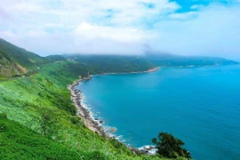 Da Nang moves to exploit tourism potential of Son Tra Peninsula