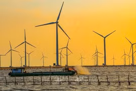 Offshore wind power sees high development potential