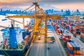 Trade surplus increases, agriculture shines