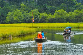 Tourism sector forecast to bounce back to pre-pandemic levels