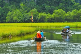 Tourism sector forecast to bounce back to pre-pandemic levels