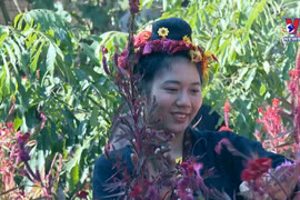 Cong ethnic minority in Dien Bien celebrate Flower Festival