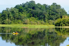 Kien Giang moves to sustainably manage forests on Phu Quoc island