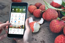 Cashless society gets closer as Vietnam digital banking gathers pace