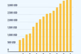 Vietnam among countries with most impressive GDP per capita growth: Forbes 