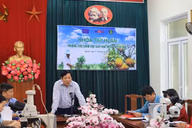 EU helps Vietnam improve safety of agricultural exports 