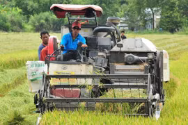Over 7 million EUR to aid delta farmers’ green production