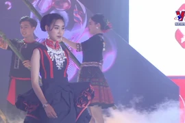 Promoting Vietnamese tourism via fashion