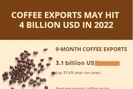 Coffee exports likely to hit 4 billion USD in 2022