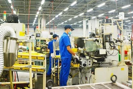 Vietnamese tech firms have room to grow