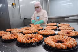 Big room for shrimp industry to increase exports: VASEP