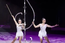 Vietnam wins gold at International Circus Festival