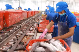 Dong Thap province to host first-ever tra fish festival