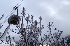 Hoarfrost blanketing top of Mount Fansipan