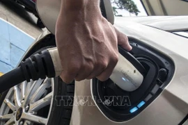 Efforts needed to encourage travellers to use e-vehicles