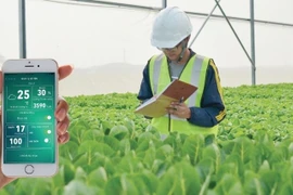 High-tech, organic farming improves quality, cuts cost of agriculture