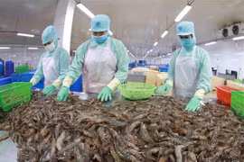 Three factors for Vietnam’s sustainable economic growth: Vietnam-briefing
