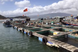 Vietnam issues national plan on aquaculture development for 2021-2030