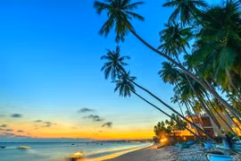 Visit Vietnam Year 2023 promotes green tourism