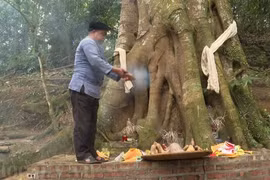 Forest worship ceremony - special cultural heritage of Mong people