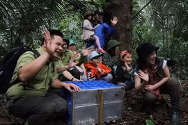 ‘Forest school’ helps spread love for nature