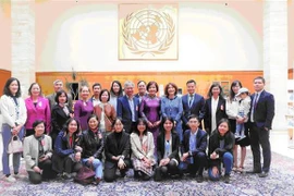 Vietnam engages in UN activities to promote multilateralism ​
