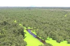 Vietnam in world's top 16 with richest biodiversity